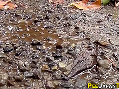 Followed Asians Urinate - Voyeur Porn Clip