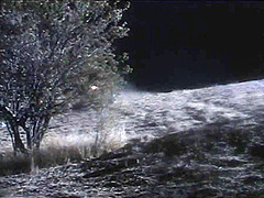 Midnight fucking by Femdom Sex