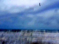 Andreza Sweet Teen - Beach Vacation Part 5