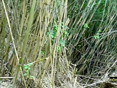 Kisaki Amateur Uncensored Fucks Outdoors In Cane Field Fingered Fucked Hard Standing Excellent Public Sex New For Dec
