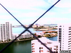 Lisa Lee - Chocolate Milk