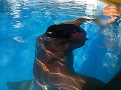 Pool teens waterboarding foot domination fun by Foot Girls