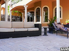 Diamond Kittys Little Doggie