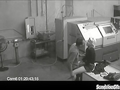 Co workers masturbating in horny office warehouse