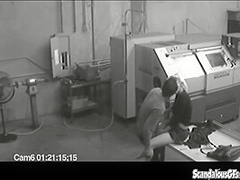 Co workers masturbating in horny office warehouse