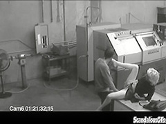 Co workers masturbating in horny office warehouse