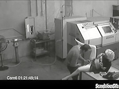 Co workers masturbating in horny office warehouse