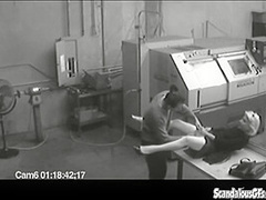 Co workers masturbating in horny office warehouse