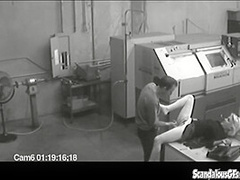 Co workers masturbating in horny office warehouse