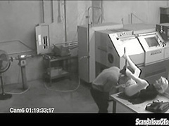 Co workers masturbating in horny office warehouse