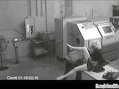 Co workers masturbating in horny office warehouse