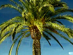 Fabulous Porn Video Big Tits Try To Watch For , Its Amazing - Eva Angelina And Summer Day