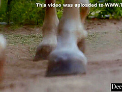 Fabulous Xxx Scene Big Dick Check Like In Your Dreams - Amber Moore And Kenna James