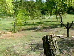 The Crucifixion Of The Slave Girl - LezdomAustria