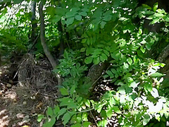 Jenny Sapphire In Received Facial Cumshot After Outdoor