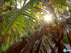 Sexy Shower Time With Sha And Alexya