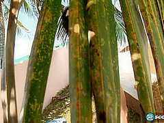 Natalie Fiore: Naughty In Nassau