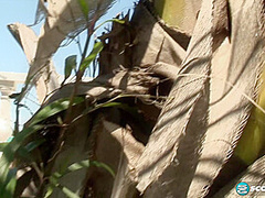 Natalie Fiore: Naughty In Nassau