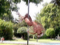 Captain's Log - Busty Outdoor Pole Dance Special - PornWorld