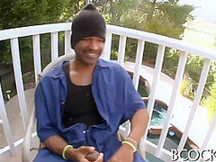 White Chick Black Stud