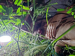 Exclusiv Pee In Savana Before Sun Rise# Net Dress N No Panties For Night Safari