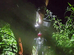 Exclusiv Pee In Savana Before Sun Rise# Net Dress N No Panties For Night Safari