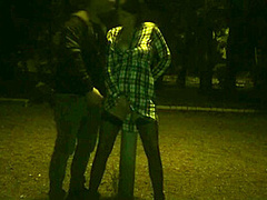Kinky Couple Masturbates Together In A Public Park