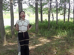 Forest Tied Up