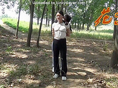 Forest Tied Up