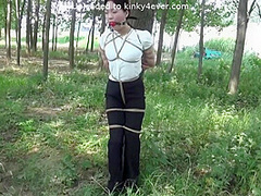Forest Tied Up