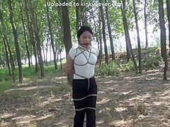 Forest Tied Up