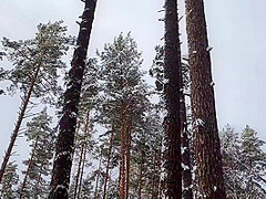 Hard Fuck In The Snowy Woods - Steam Coming Out Of Her Pussy Along With Cum