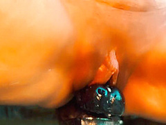 Truck Fuck Full Length