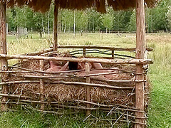 Farm Anal