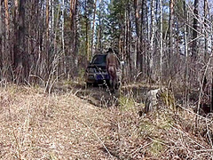 A Naked Blonde With A Juicy Pawg, Hairy Pussy, And Beautiful Legs In Pantyhose Walk Outdoor. Exhibitionism And Foot Fetish On Nature. 11 Min