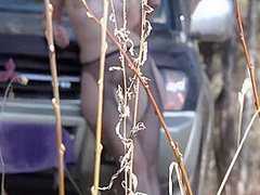 A Naked Blonde With A Juicy Pawg, Hairy Pussy, And Beautiful Legs In Pantyhose Walk Outdoor. Exhibitionism And Foot Fetish On Nature. 11 Min