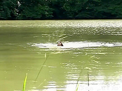 Pavel Terrier, Stella Fox And Jordan Pryce In Fucked By Young Slut Outdoors