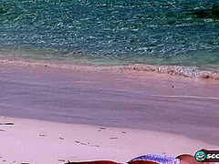 Lezzies In Paradise