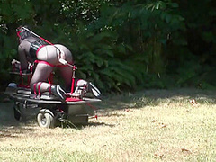 Best Porn Scene Outdoor Hottest Uncut