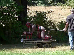 Best Porn Scene Outdoor Hottest Uncut