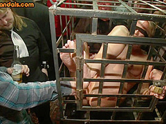 Public BDSM mature sub suffers electro touch by domina