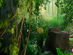 A Captivating Brunette Sex Bomb Sits On Her Lesbian Lovers Face In A Magical Forest