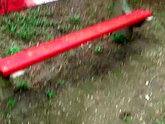 What Tastes Me Better, A Bubblegum Or A Thick Cock