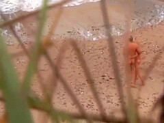 Beach . Hardcore Sex. /3 5 Min - Shirley Harris And Vac Ov