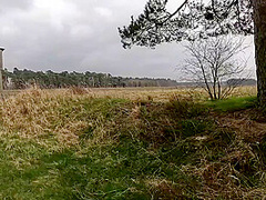 Get Naked For Your Titslapping In Public