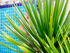 Blowjob In Public Pool Shower And Cum In Mouth 8 Min