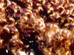 Exotic Black Babe Rides Big Cock Outdoors On The Beach In Cowgirl Position