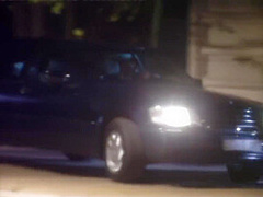 Without Limits 2 - Sophie Evans