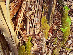 Vlog - Come Camping With Me In The Forest