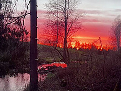 Vlog - Come Camping With Me In The Forest